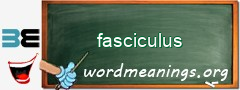 WordMeaning blackboard for fasciculus